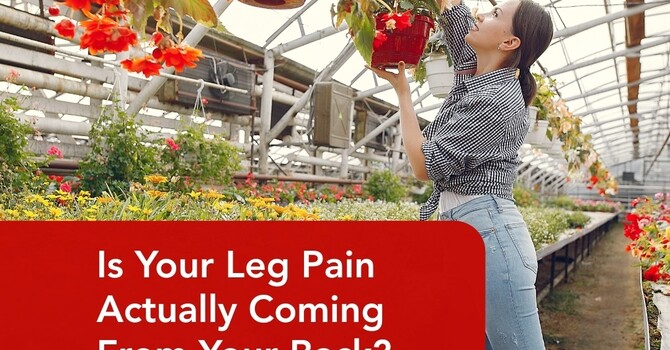 Is Your Leg Pain Actually Coming From Your Back? image