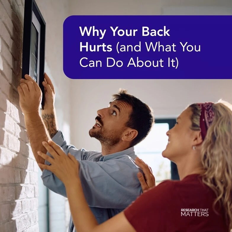 Why your back hurts and what you can do about it at Greenlight Chiropractic & Wellness Lab