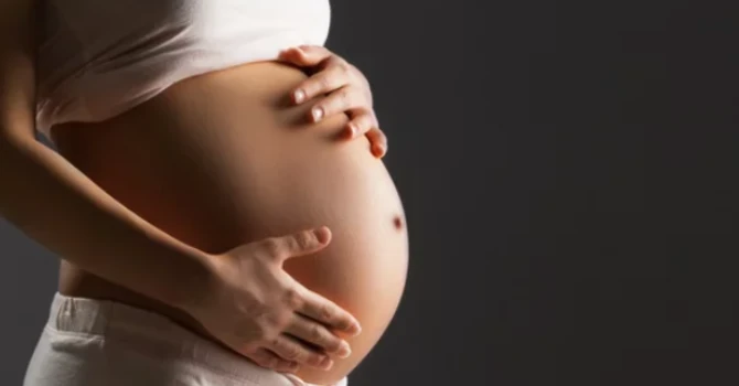prenatal go green light chiropractic california